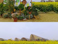 -中国天府农业博览园