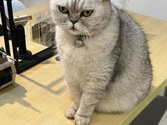 -Oasis绿洲银饰珍珠手作diy(壹方城店)