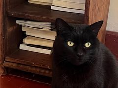 -春风十里咖啡馆