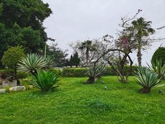 -胡里山炮台