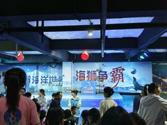 -邯郸海洋世界