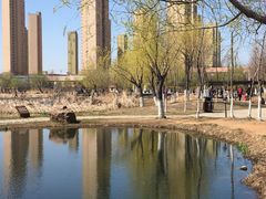 -前关湿地公园