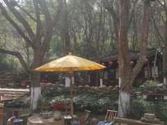 -天目湖山水园