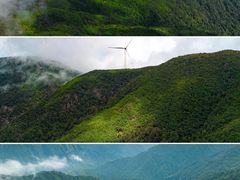 -姑婆山旅游区