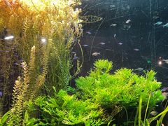 -上海海洋水族馆