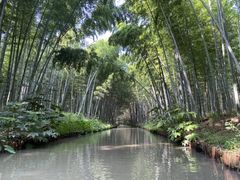 -同里国家湿地公园