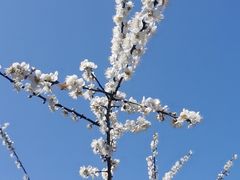 -广州市流溪河国家森林公园