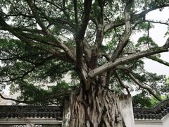 -墨池公园