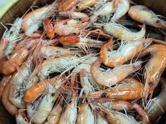 -东胜客河鲜店·西江河鲜·老字號渔家菜