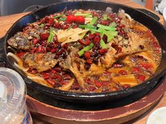 -老板恋上鱼(恒隆广场店)