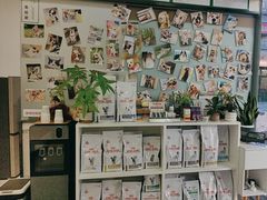 -爱妮康宠物医院·干细胞免疫细胞·肿瘤·心脏(张江店)