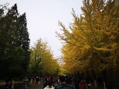 -辽宁大学(崇山校区)