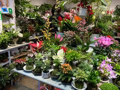 -吴山花鸟城-停车场