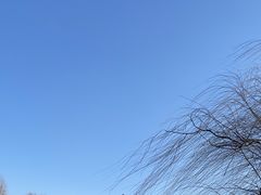 -济南大明湖景区