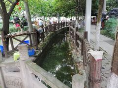 -乐氏荤豆花