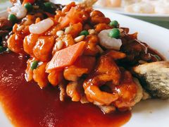 松子桂鱼-新恬乐大酒家(沧达大厦店)