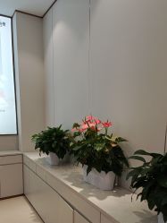-禾丽康美医疗美容医院