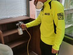 -绿色亿家除甲醛机构