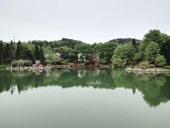 -四明山国家森林公园