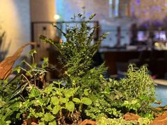 -AZUR聚(香格里拉饭店)