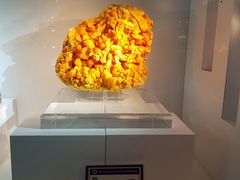 -中国地质大学逸夫博物馆