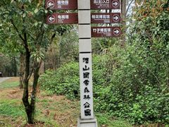 -潜山国家森林公园