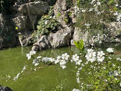 -静安公园(静安寺街道)