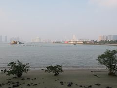 -万绿园