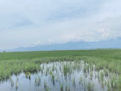 -野鸭湖国家湿地公园