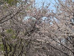 -西北湖绿化广场