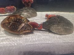 -石家庄海洋公园