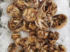 -铭聚章鱼土笋冻(松柏店)