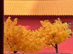 -龙湖杭州滨江天街