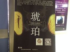-上海昆虫博物馆