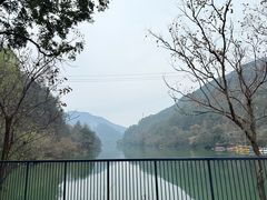 -芦茨金富饭庄·25年老字号·专做稻草鸡