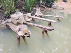 -长鹿旅游休博园