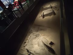 -北京大葆台遗址博物馆