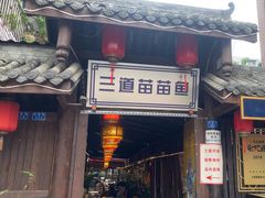 -三道苗苗鱼·美蛙黄辣丁(八里店)