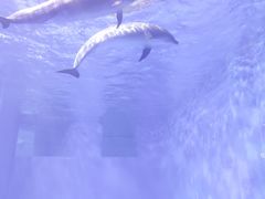 -多彩贵州城极地海洋世界