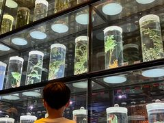 -广东中医药博物馆