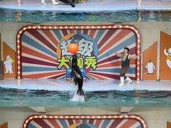 -南昌海洋公园