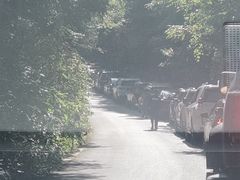 -武陵山森林公园