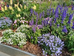 -深圳国际园林花卉博览园