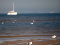 -老虎石海上公园