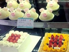 -蒲公英(五里店)