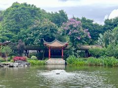 -顺峰山公园