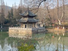 -习家池