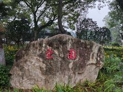 -江心屿景区
