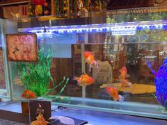 -粗粮人家·东北菜(洋桥店)