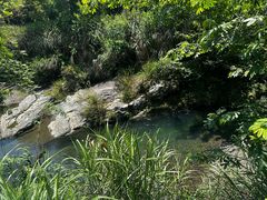 -石台牯牛降景区